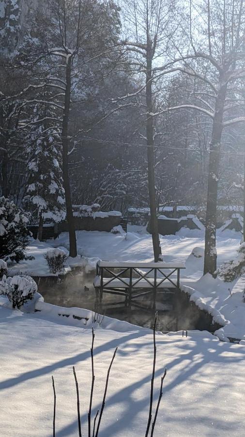 Апартаменти Agroturystyka Spa Зелькув Екстер'єр фото